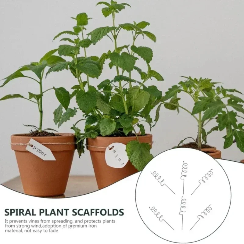Bonsai Gardening - Supporto per Piante Rampicanti, Pali a