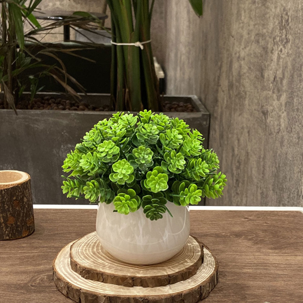 Bonsai Garden Cafe - Bonsai Artificiale Realistico, Pianta Finta in