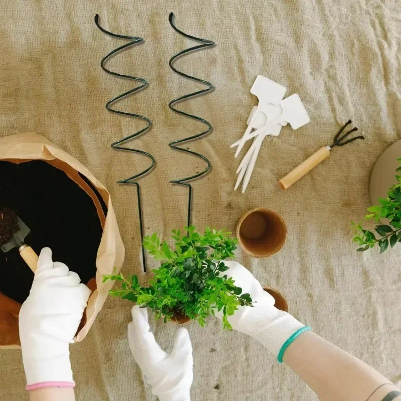 Supporto per Piante Rampicanti - Bonsai Gardening recensione e prezzo