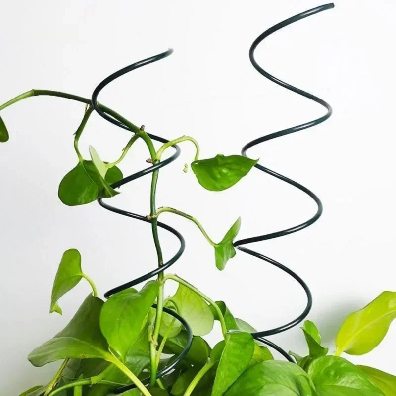 Supporto per Piante Rampicanti - Bonsai Gardening recensione e prezzo