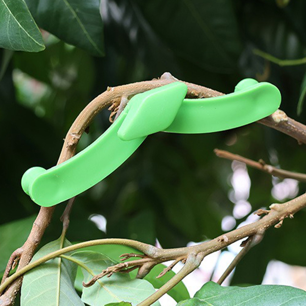 5 Pezzi Stabilizzatore per Ram - Bonsai Gardening recensione e prezzo