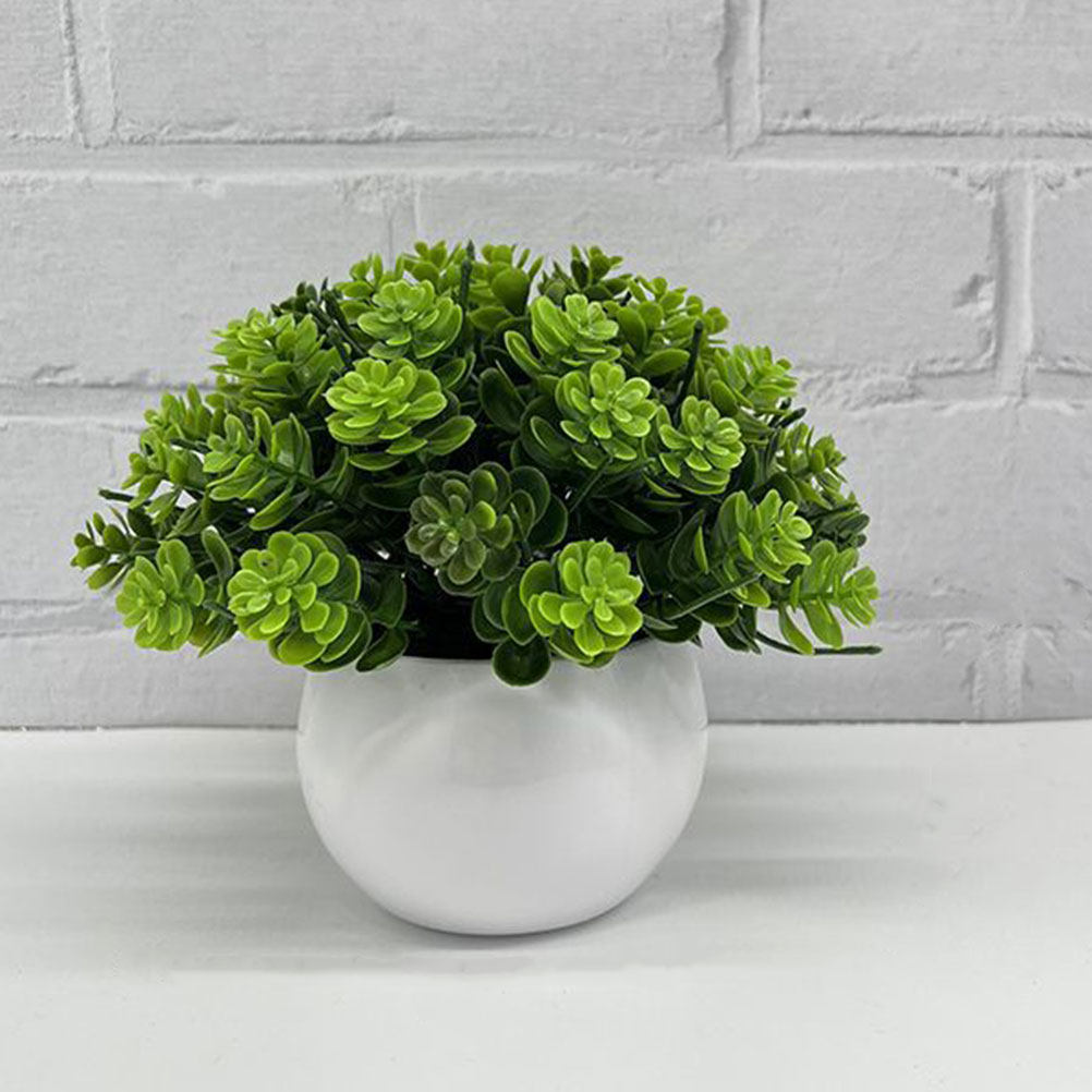 Bonsai Artificiale Realistico, - Bonsai Garden Cafe recensione e prezzo