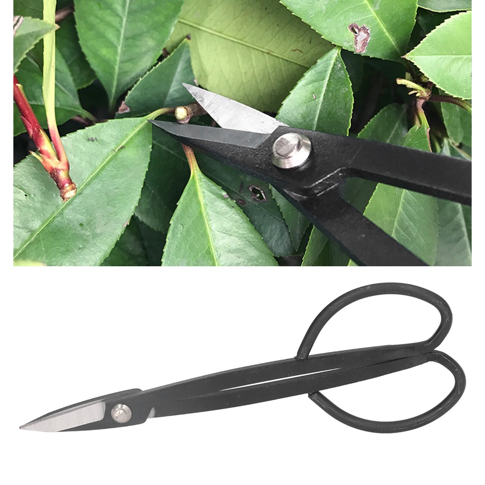 Forbici per bonsai in acciaio  - Concave Branch Cutter recensione e prezzo