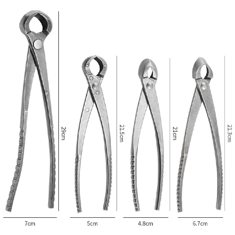 Attrezzi Professionali per Bon - Concave Branch Cutter recensione e prezzo