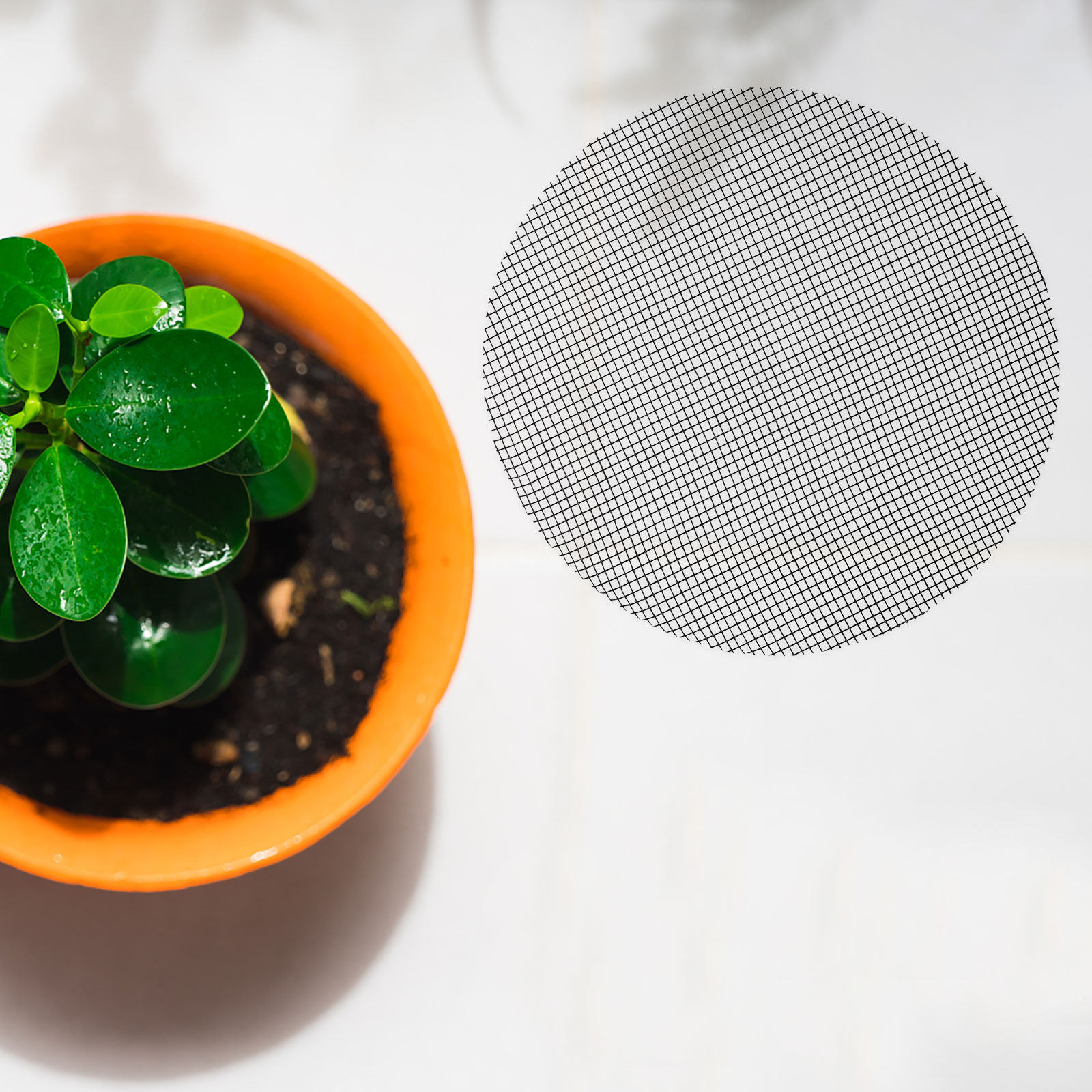 50 Pezzi di Teli a Rete per Fo - Bonsai Gardening recensione e prezzo