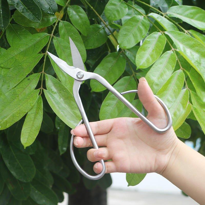 Cesoie da giardino interamente - Concave Branch Cutter recensione e prezzo
