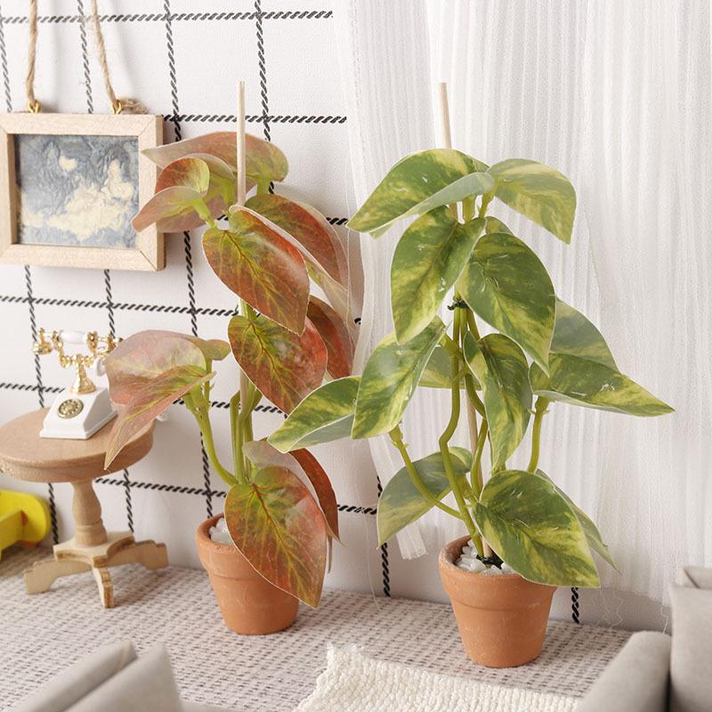 1/12 Simulazione di casa delle - Bonsai Gardening recensione e prezzo