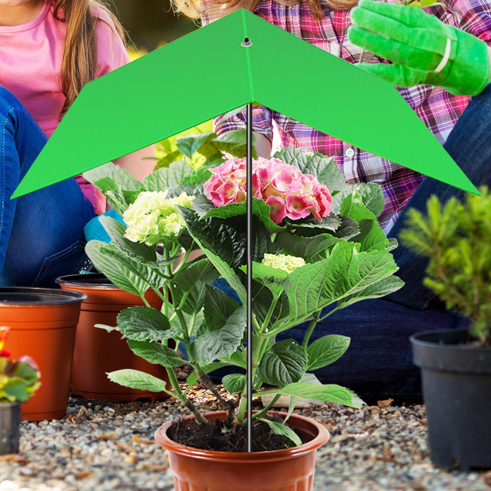 Ombrellone per piante anti-UV, - Bonsai Garden Cafe recensione e prezzo