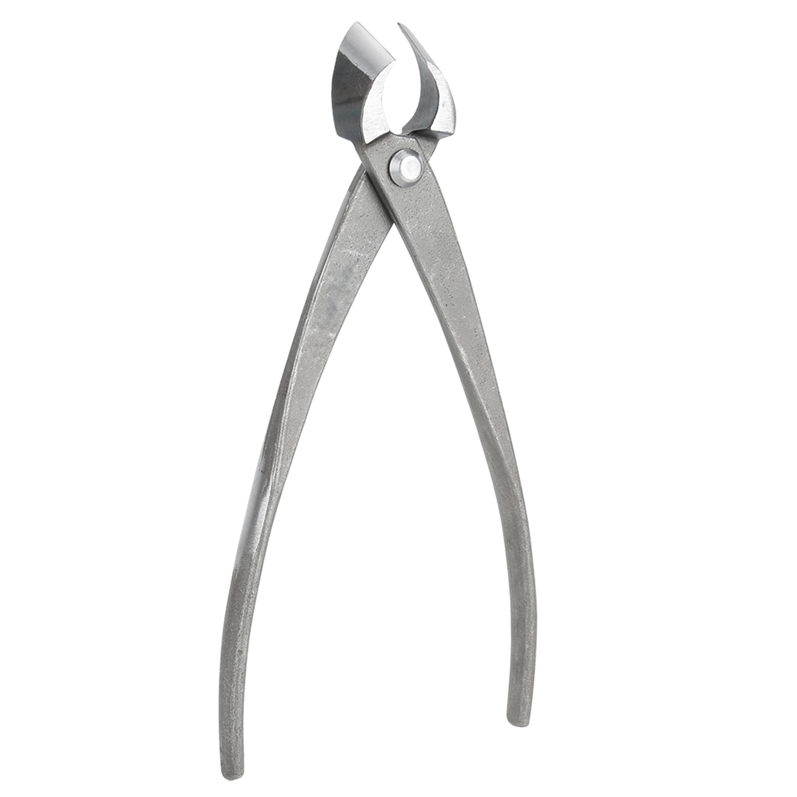 Taglierina per bonsai Cesoie d - Concave Branch Cutter recensione e prezzo