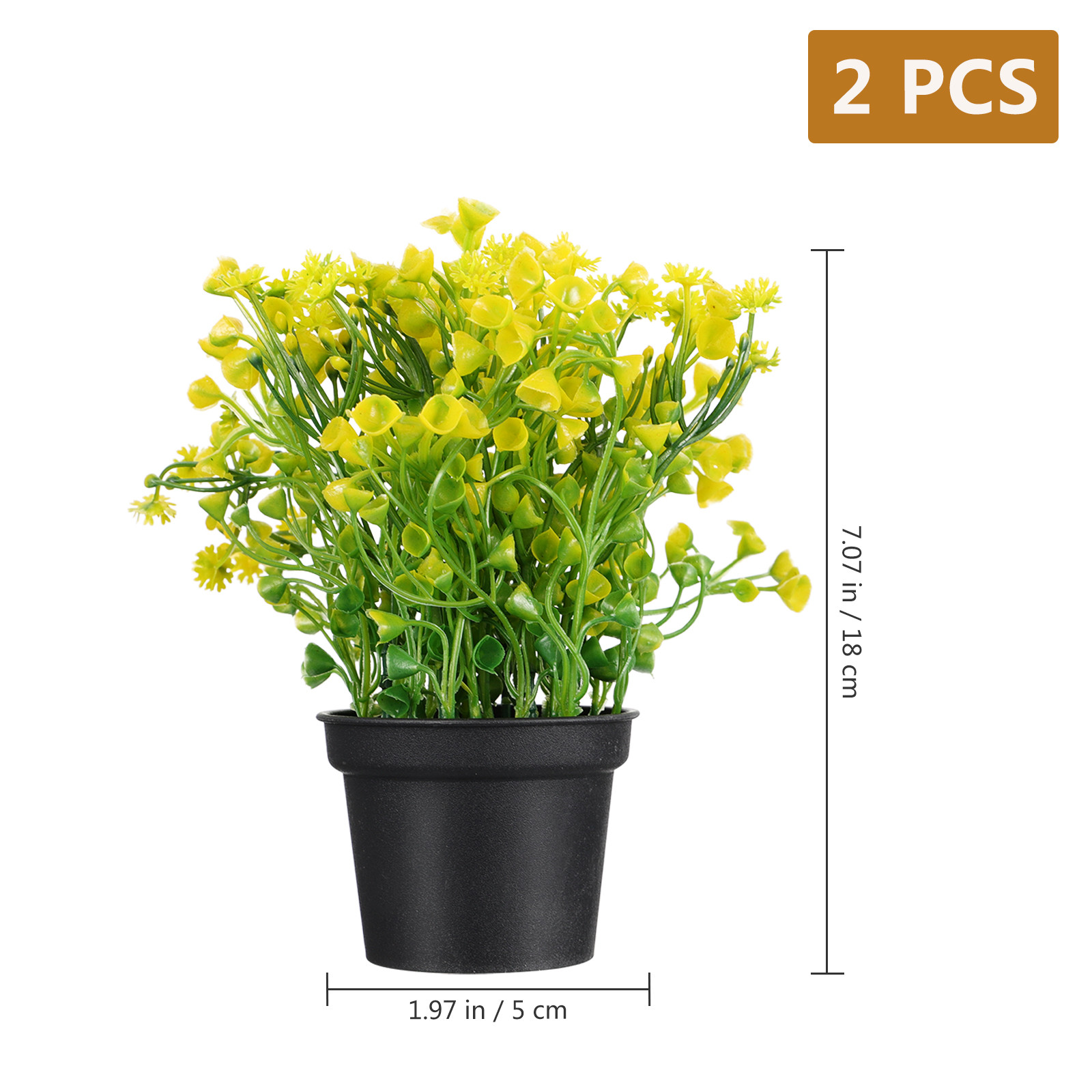 2 Pezzi di Erba Campanula Arti - Bonsai Garden Cafe recensione e prezzo
