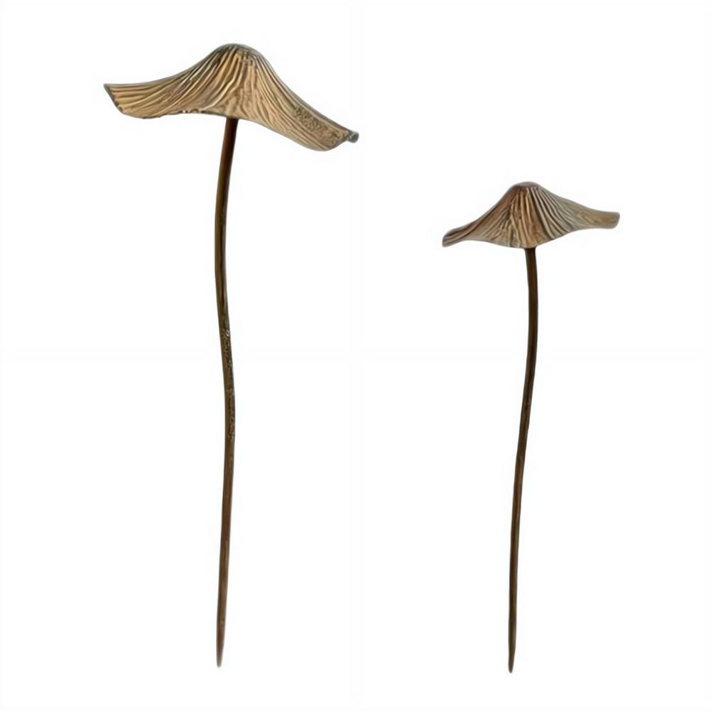 Set di Decorazioni da Giardino - Bonsai Gardening recensione e prezzo