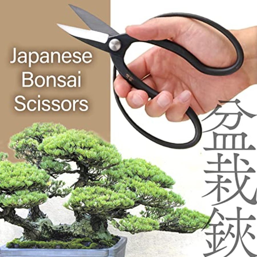 Forbici Giapponesi per Bonsai  - Bonsai Garden Japan recensione e prezzo