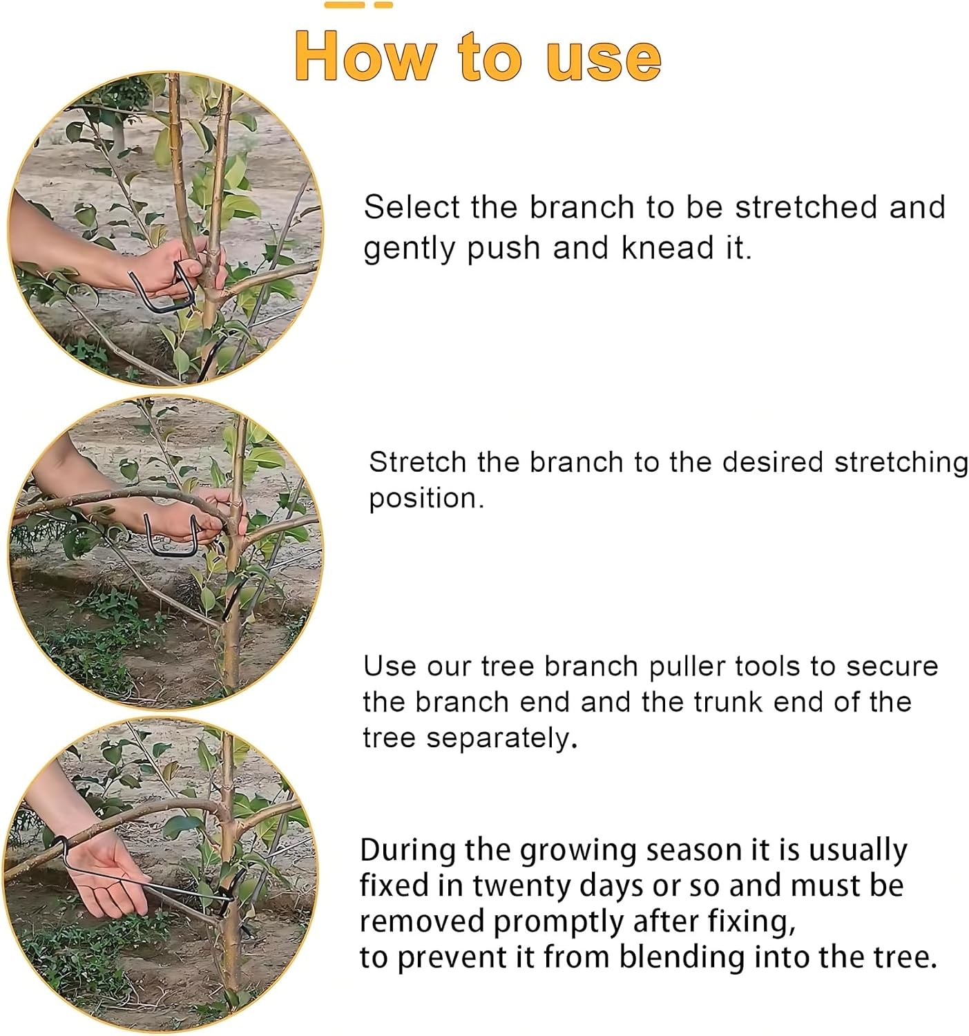 Modellatore Regolabile per Ram - Bonsai Gardening recensione e prezzo