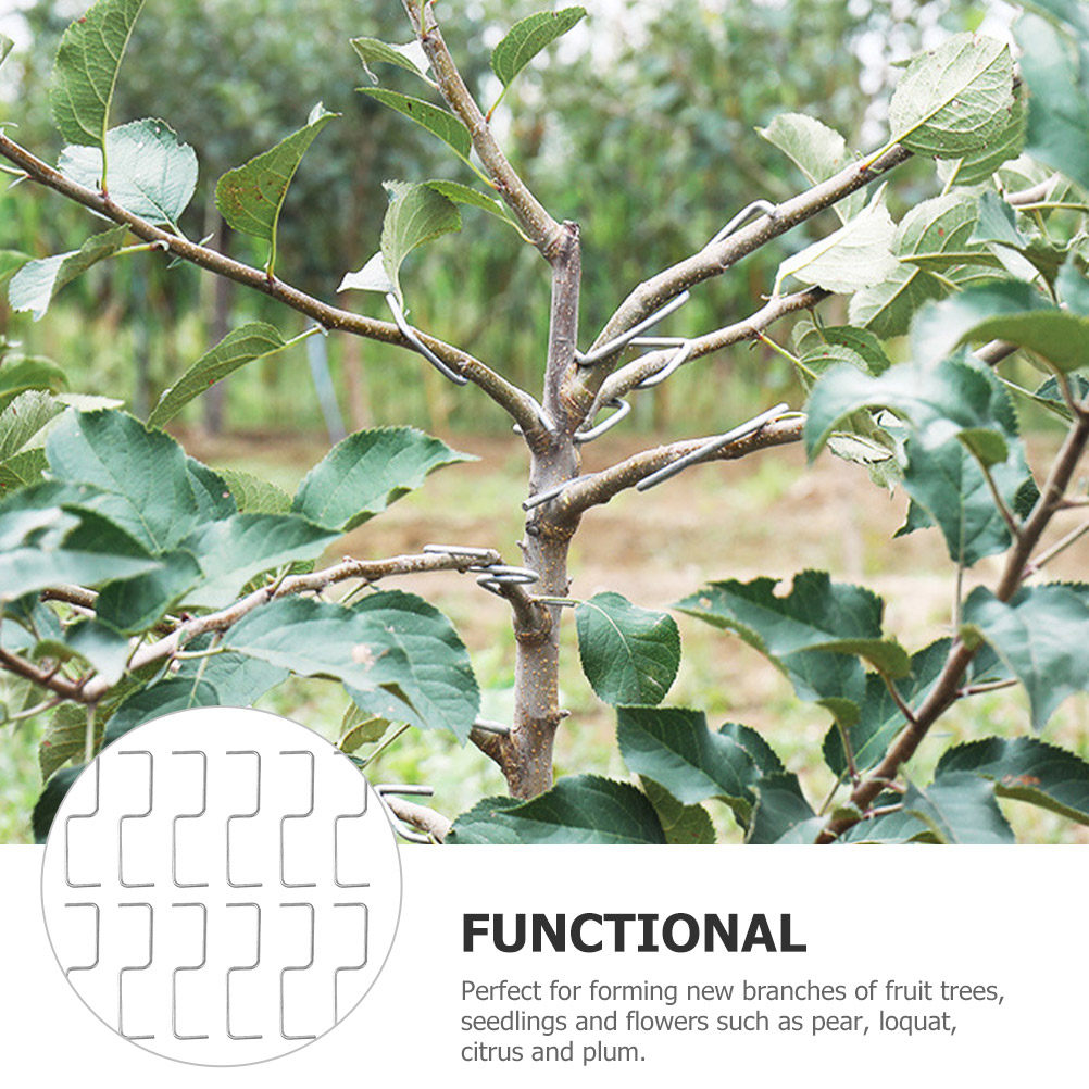 1 Set di Attrezzi per la Forma - Bonsai Gardening recensione e prezzo