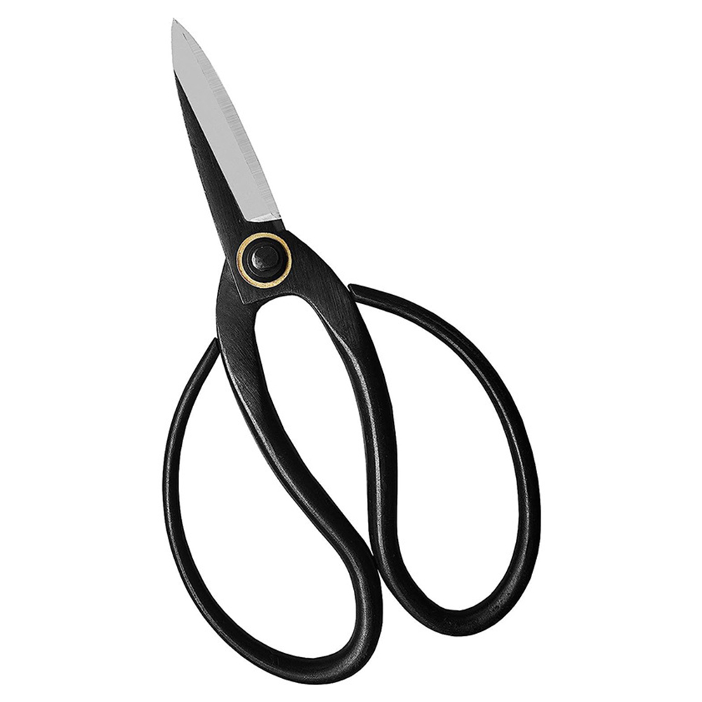 Forbici professionali per bons - Concave Branch Cutter recensione e prezzo