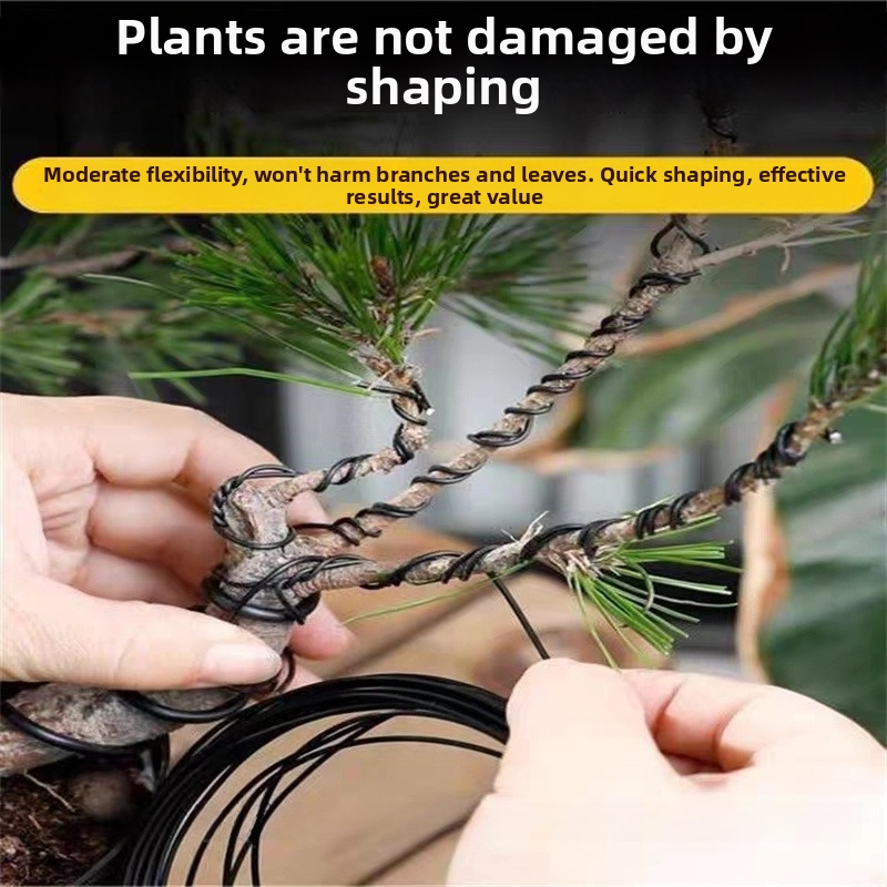 Fili per Bonsai da 1,5 mm in A - Bonsai Gardening recensione e prezzo