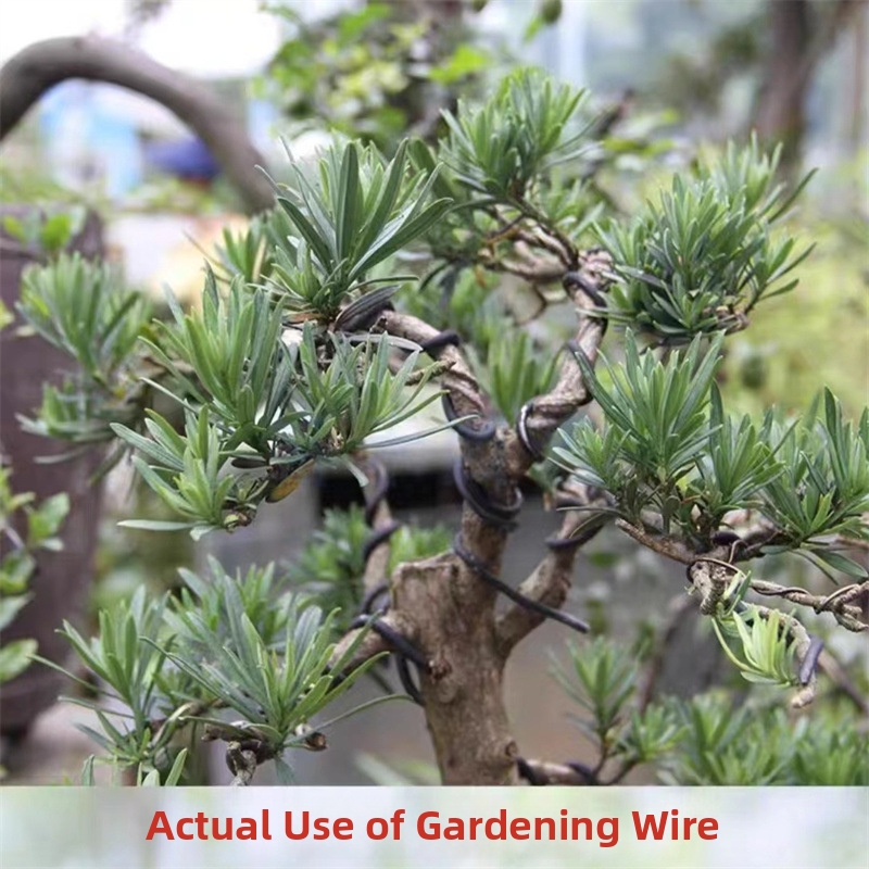 Fili per Bonsai da 1,5 mm in A - Bonsai Gardening recensione e prezzo