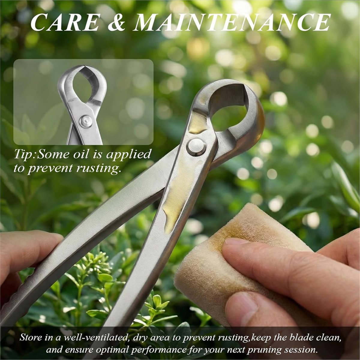 Set di Attrezzi per Bonsai AWA - Concave Branch Cutter recensione e prezzo