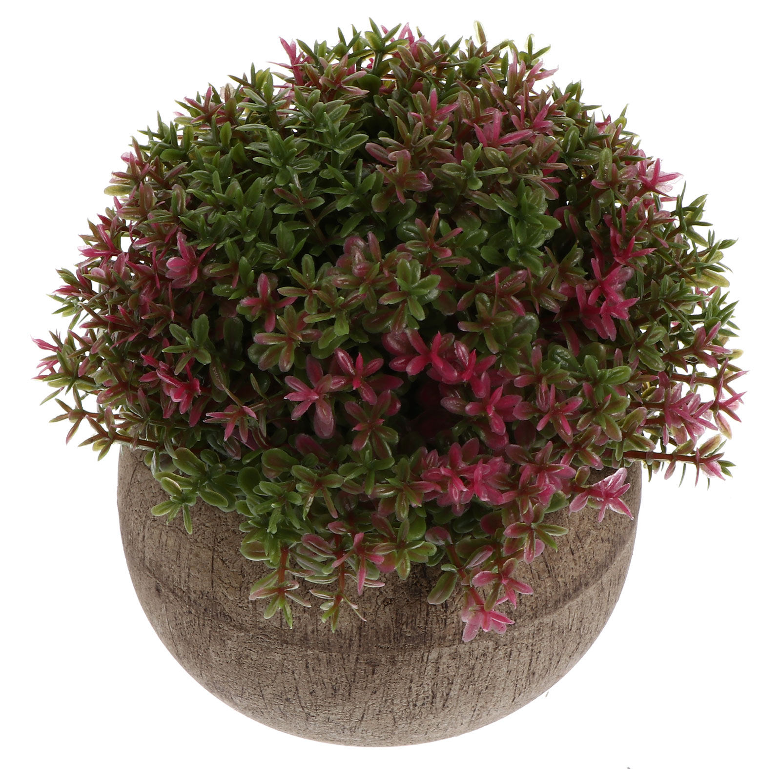 Mini Bonsai in Plastica Realis - Bonsai Garden Cafe recensione e prezzo