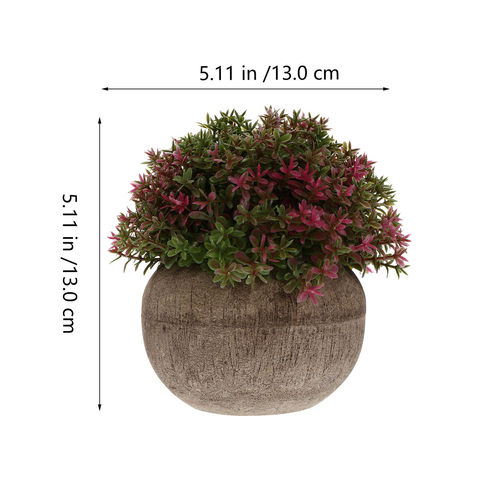 Mini Bonsai in Plastica Realis - Bonsai Garden Cafe recensione e prezzo
