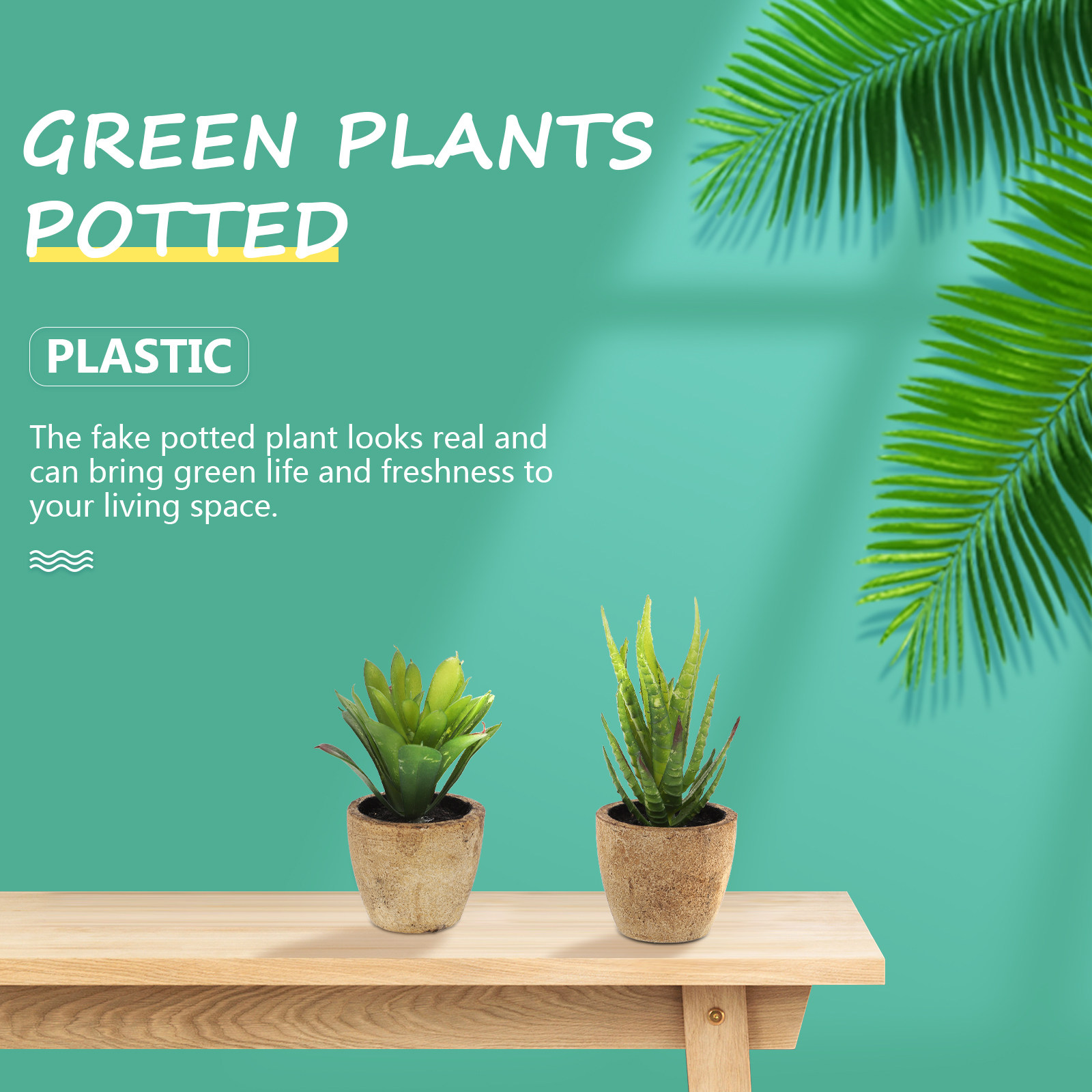 Set di 4 Piante Succulente Art - Bonsai Garden Cafe recensione e prezzo