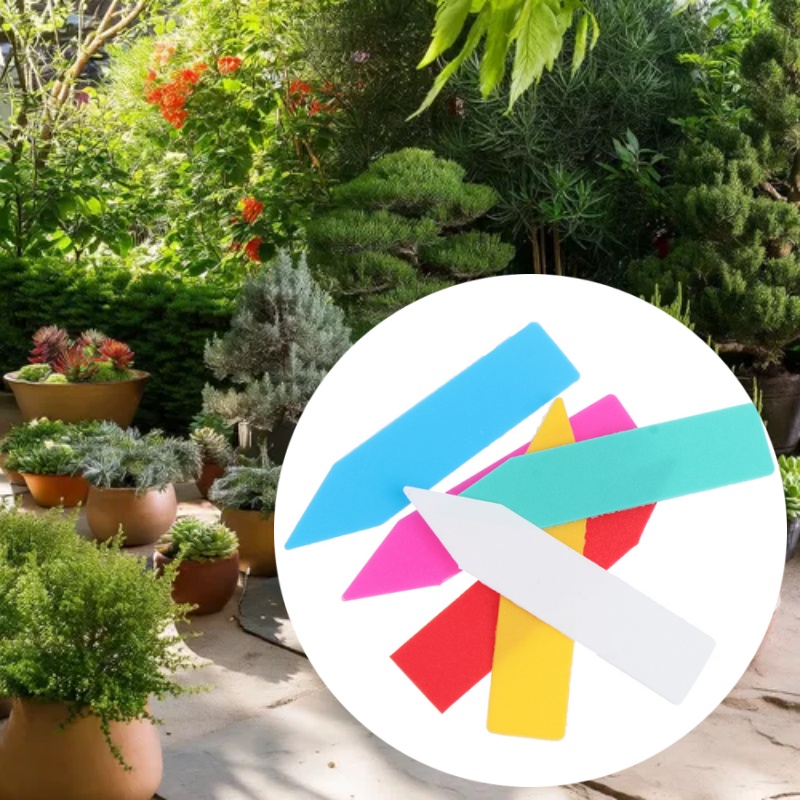 100 pz 5*1 cm Etichetta per pi - Bonsai Garden Name recensione e prezzo