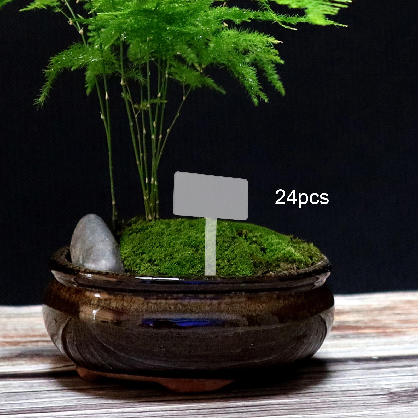 24 Etichette in Acrilico per P - Bonsai Garden Name recensione e prezzo