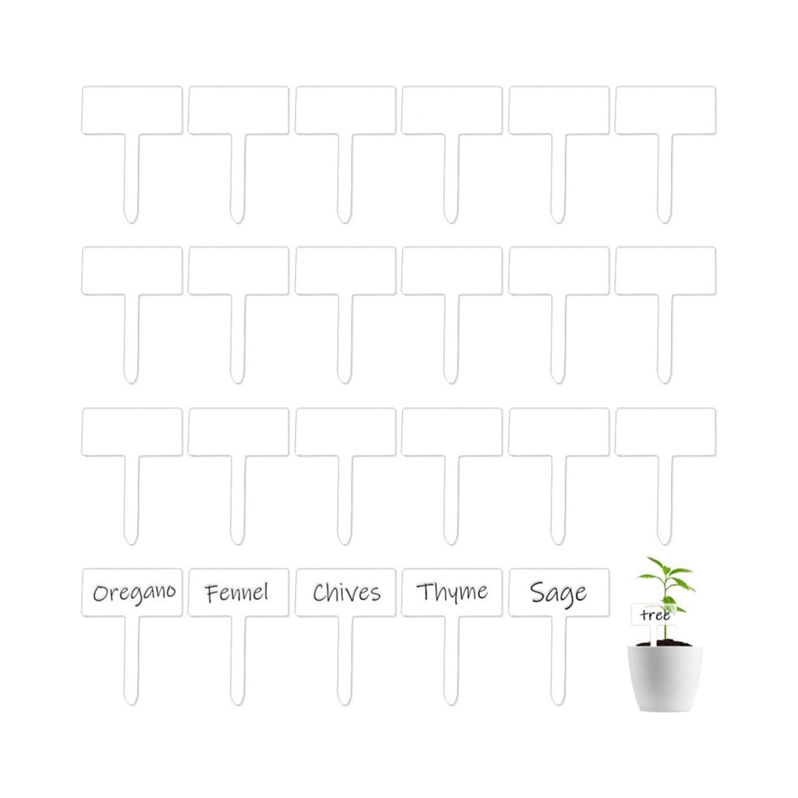 24 Etichette in Acrilico per P - Bonsai Garden Name recensione e prezzo